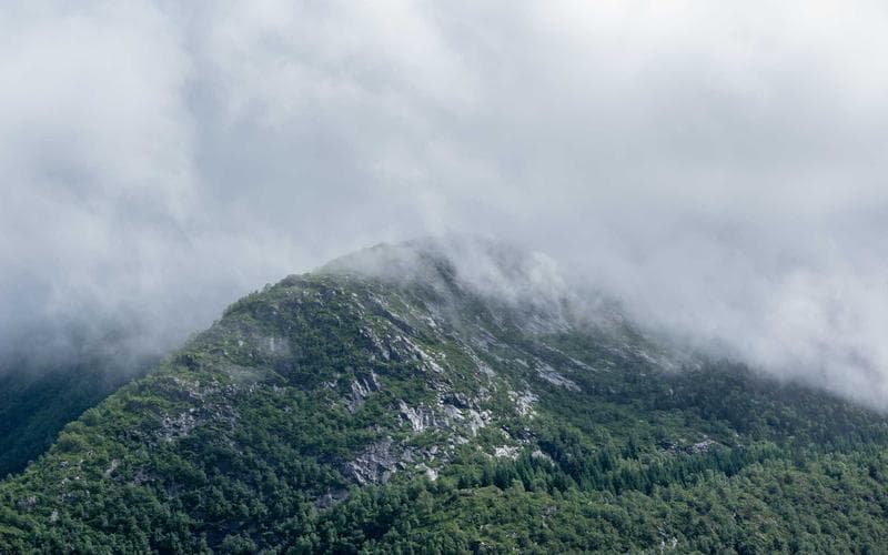 A moodboard showing a cohesive visual style with colors, fonts, and images.